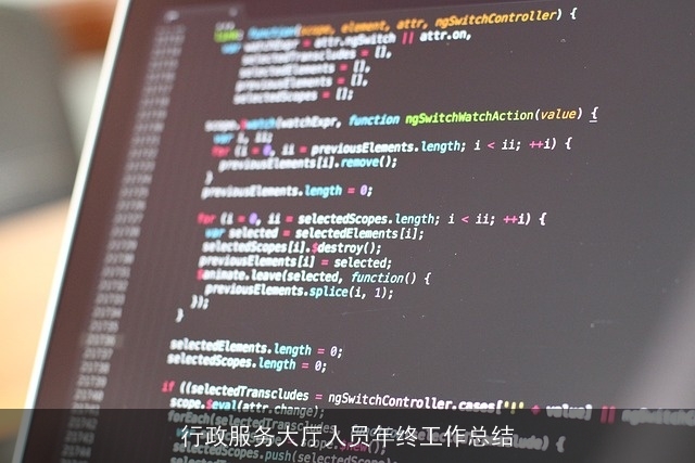 行政服务大厅人员年终工作总结 行政服务大厅人员年终工作总结