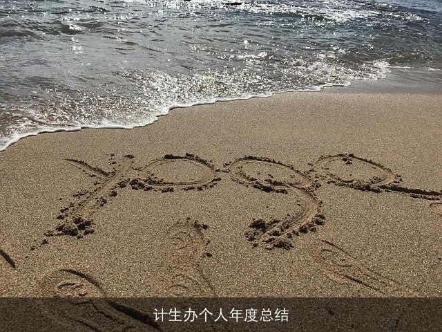 计生办个人年度总结 计生办个人年度总结