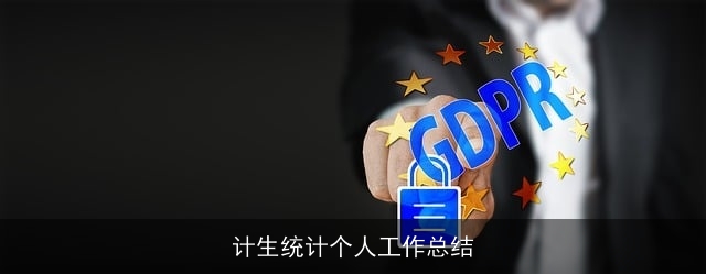 计生统计个人工作总结 计生统计个人工作总结