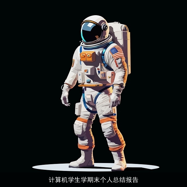 计算机学生学期末个人总结报告 计算机学生学期末个人总结报告