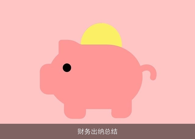 财务出纳总结 财务出纳总结