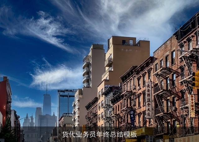 货代业务员年终总结模板 货代业务员年终总结模板
