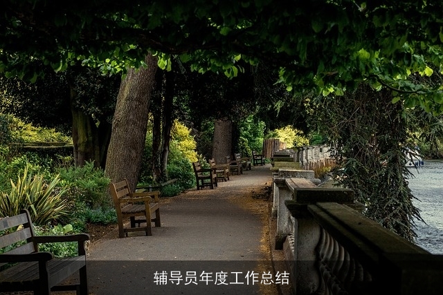 辅导员年度工作总结 辅导员年度工作总结