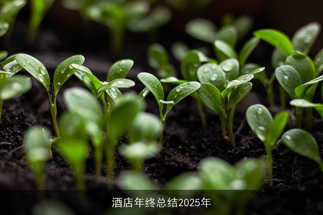 酒店年终总结2025年 酒店年终总结2025年