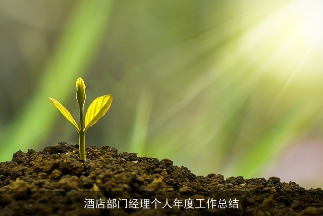 酒店部门经理个人年度工作总结 酒店部门经理个人年度工作总结