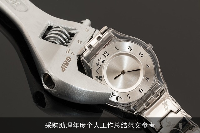 采购助理年度个人工作总结范文参考 采购助理年度个人工作总结范文参考