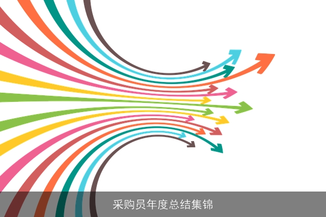 采购员年度总结集锦 采购员年度总结集锦