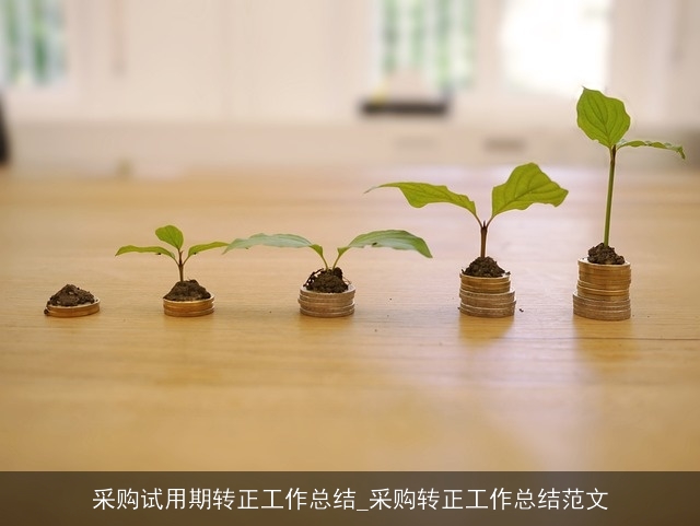 采购试用期转正工作总结_采购转正工作总结范文 采购试用期转正工作总结_采购转正工作总结范文