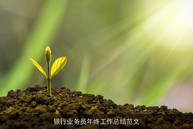 银行业务员年终工作总结范文 银行业务员年终工作总结范文