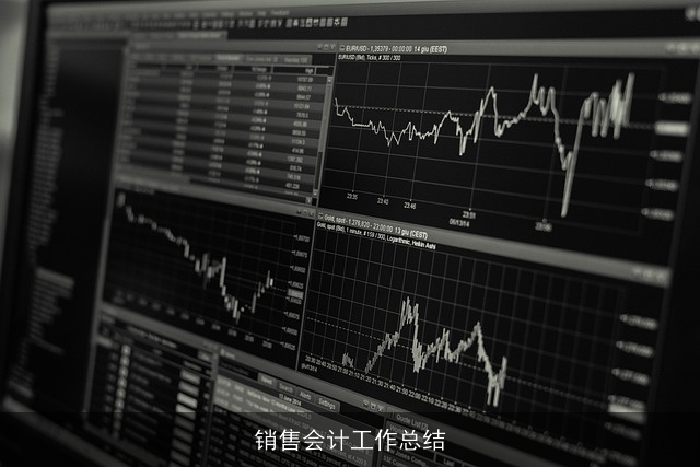 销售会计工作总结 销售会计工作总结