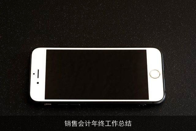 销售会计年终工作总结 销售会计年终工作总结