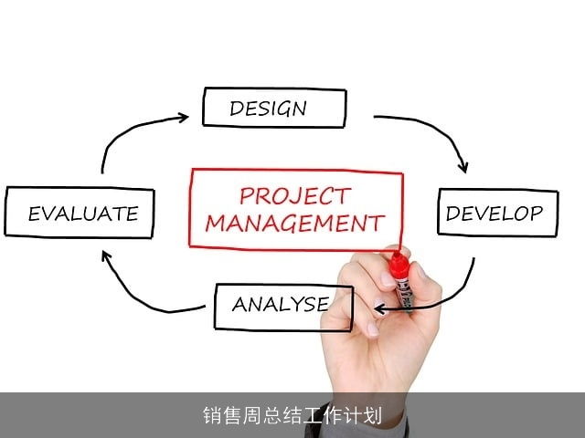 销售周总结工作计划 销售周总结工作计划