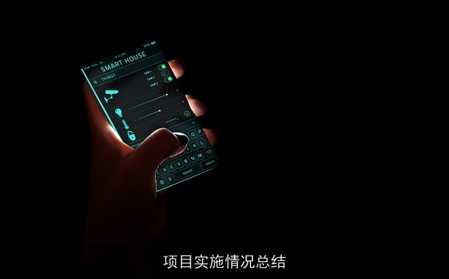 项目实施情况总结 项目实施情况总结