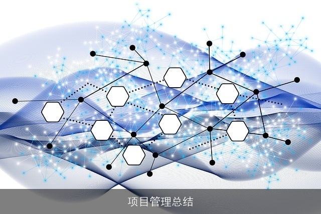 项目管理总结 项目管理总结