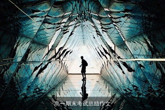 高一期末考试总结作文 高一期末考试总结作文