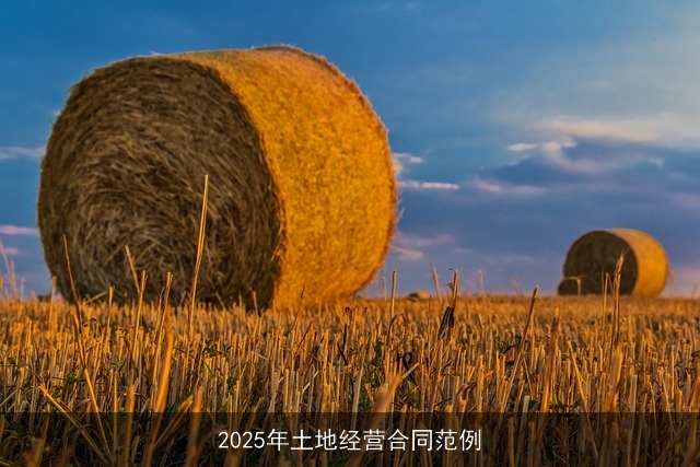 2025年土地经营合同范例 2025年土地经营合同范例