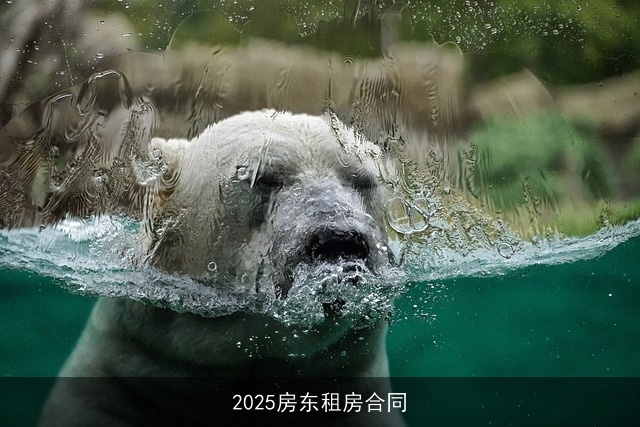 2025房东租房合同 2025房东租房合同