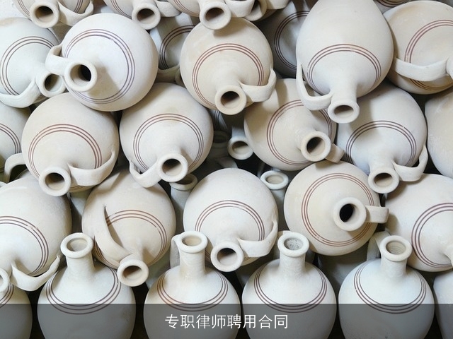 专职律师聘用合同 专职律师聘用合同