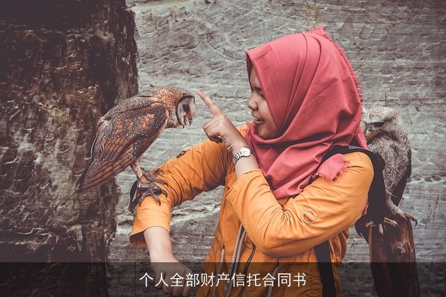 个人全部财产信托合同书 个人全部财产信托合同书