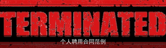 个人聘用合同范例 个人聘用合同范例