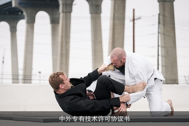 中外专有技术许可协议书 中外专有技术许可协议书