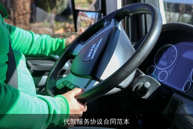 代驾服务协议合同范本 代驾服务协议合同范本