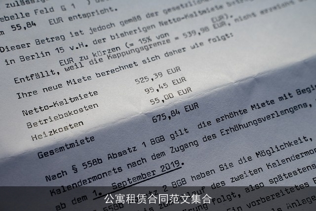 公寓租赁合同范文集合 公寓租赁合同范文集合