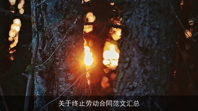 关于终止劳动合同范文汇总 关于终止劳动合同范文汇总