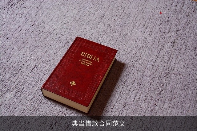 典当借款合同范文 典当借款合同范文