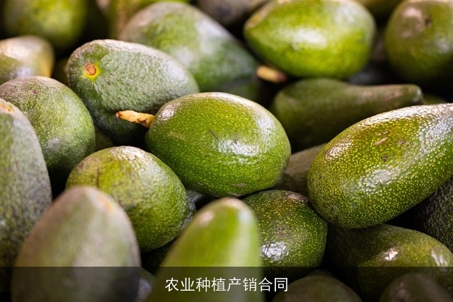 农业种植产销合同 农业种植产销合同