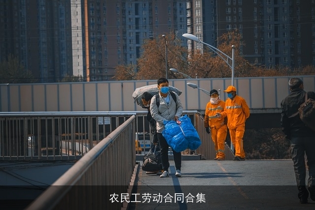 农民工劳动合同合集 农民工劳动合同合集