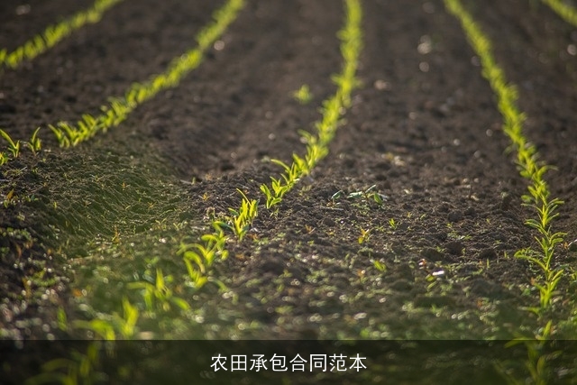 农田承包合同范本 农田承包合同范本