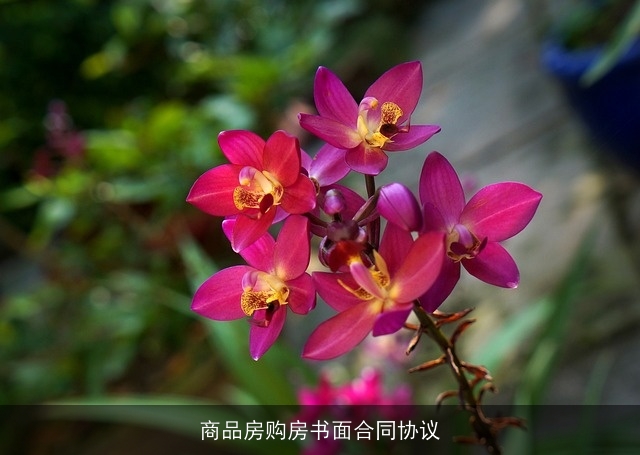 商品房购房书面合同协议 商品房购房书面合同协议