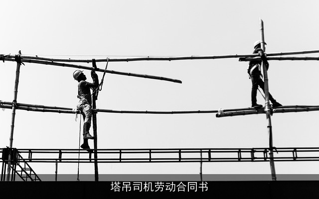 塔吊司机劳动合同书 塔吊司机劳动合同书