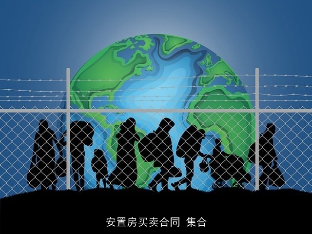 安置房买卖合同 集合 安置房买卖合同 集合