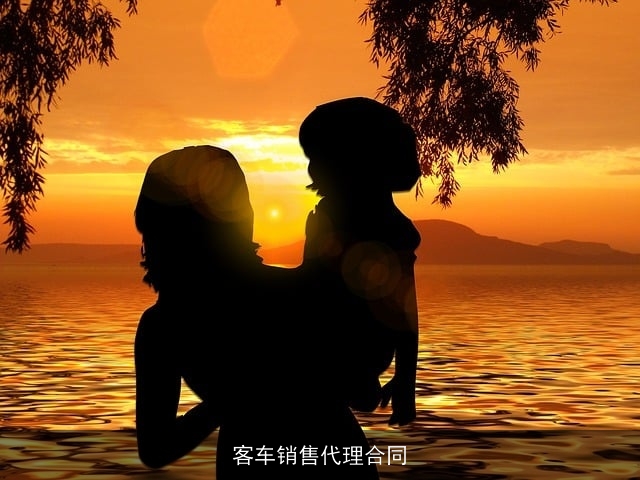 客车销售代理合同 客车销售代理合同