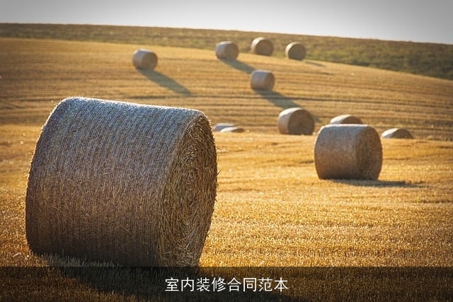 室内装修合同范本 室内装修合同范本