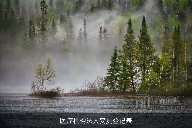 医疗机构法人变更登记表 医疗机构法人变更登记表