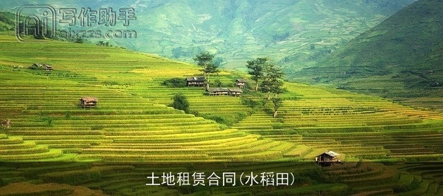 土地租赁合同(水稻田) 土地租赁合同(水稻田)