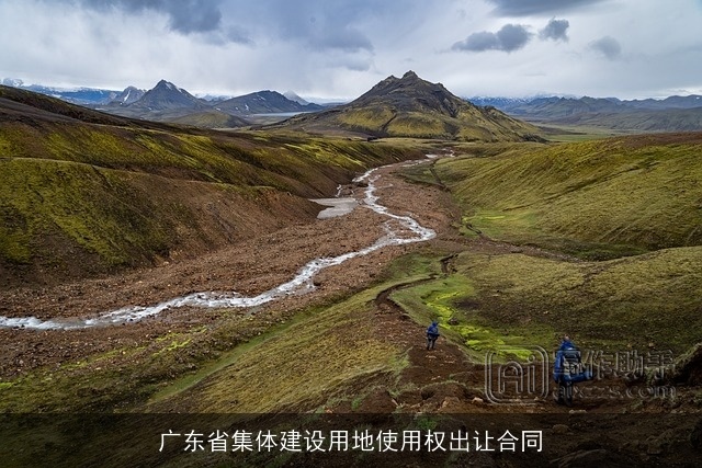 广东省集体建设用地使用权出让合同 广东省集体建设用地使用权出让合同