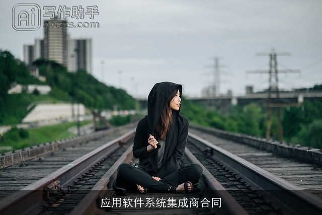 应用软件系统集成商合同 应用软件系统集成商合同