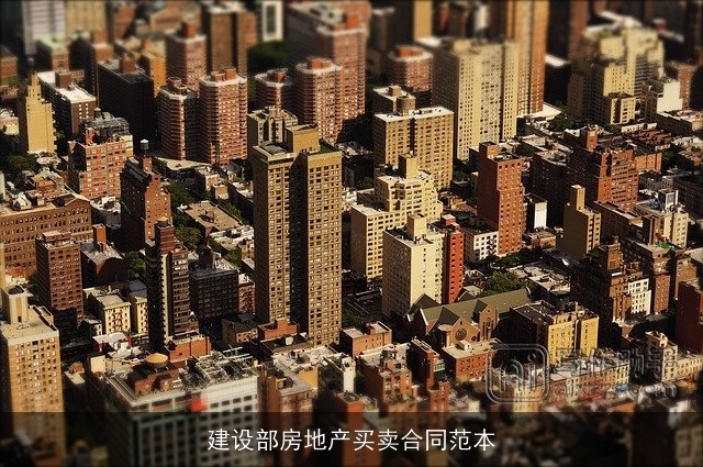 建设部房地产买卖合同范本 建设部房地产买卖合同范本