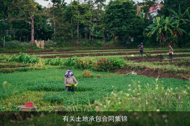 有关土地承包合同集锦 有关土地承包合同集锦