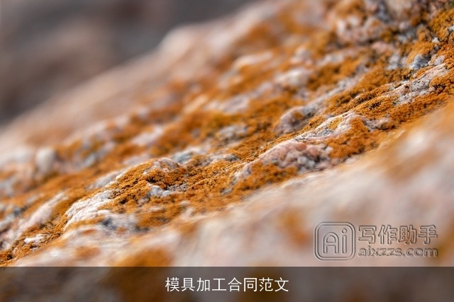 模具加工合同范文 模具加工合同范文