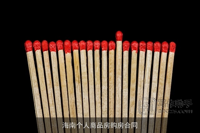 海南个人商品房购房合同 海南个人商品房购房合同