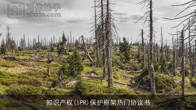 知识产权(IPR)保护框架热门协议书 知识产权(IPR)保护框架热门协议书