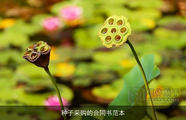 种子采购的合同书范本 种子采购的合同书范本