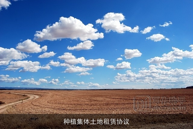 种植集体土地租赁协议 种植集体土地租赁协议