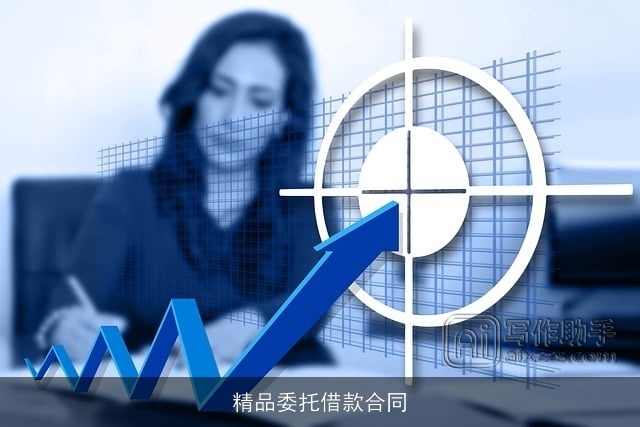 精品委托借款合同 精品委托借款合同