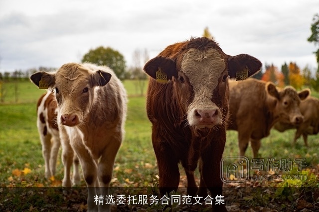 精选委托服务合同范文合集 精选委托服务合同范文合集